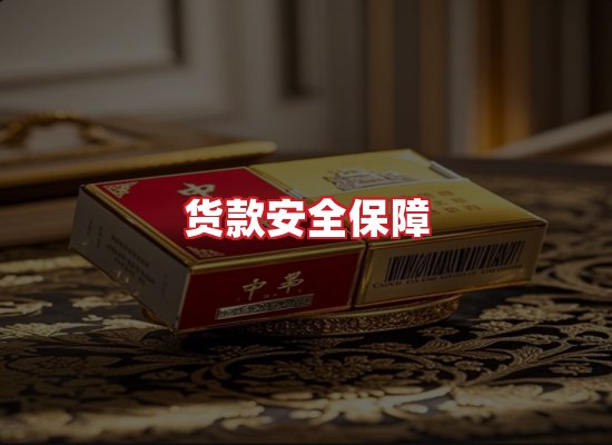 专业团队
